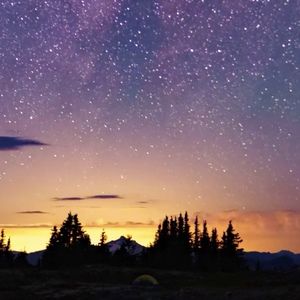 Meet your Posher, Phoebe